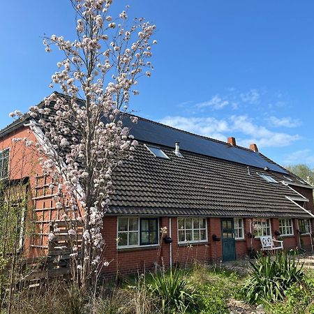 Hoeve Veganza B&B Vlagtwedde Kültér fotó