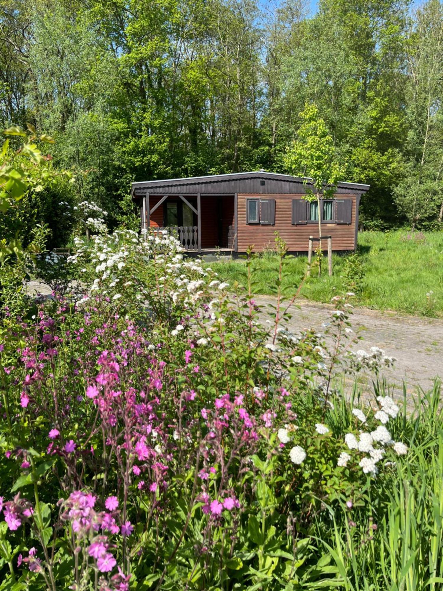 Hoeve Veganza B&B Vlagtwedde Kültér fotó