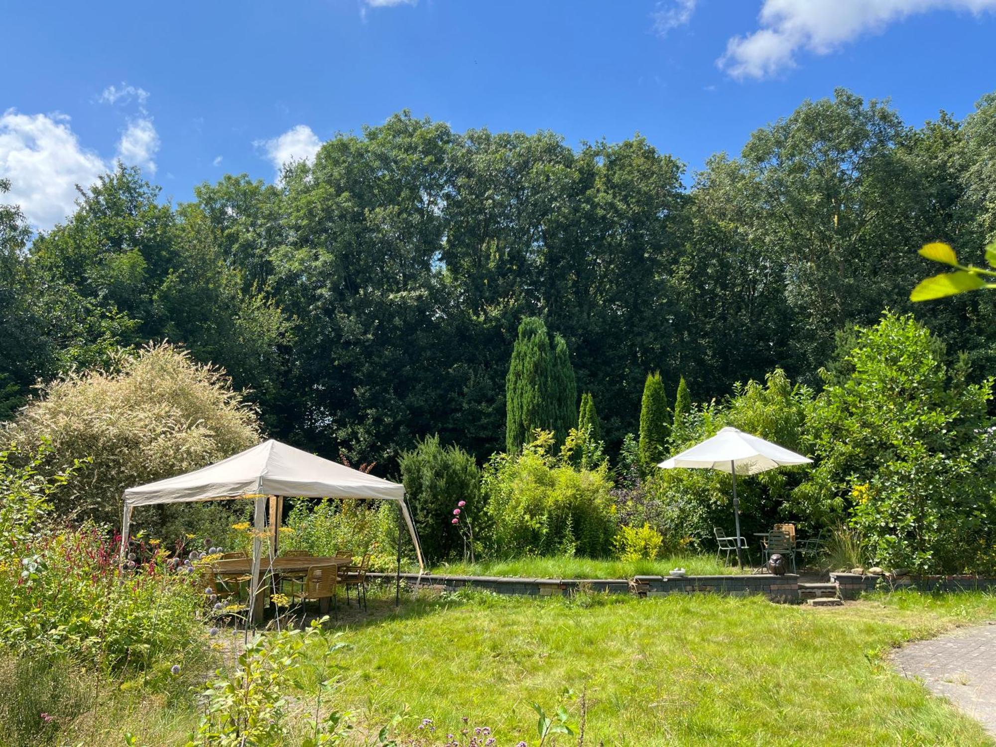 Hoeve Veganza B&B Vlagtwedde Kültér fotó