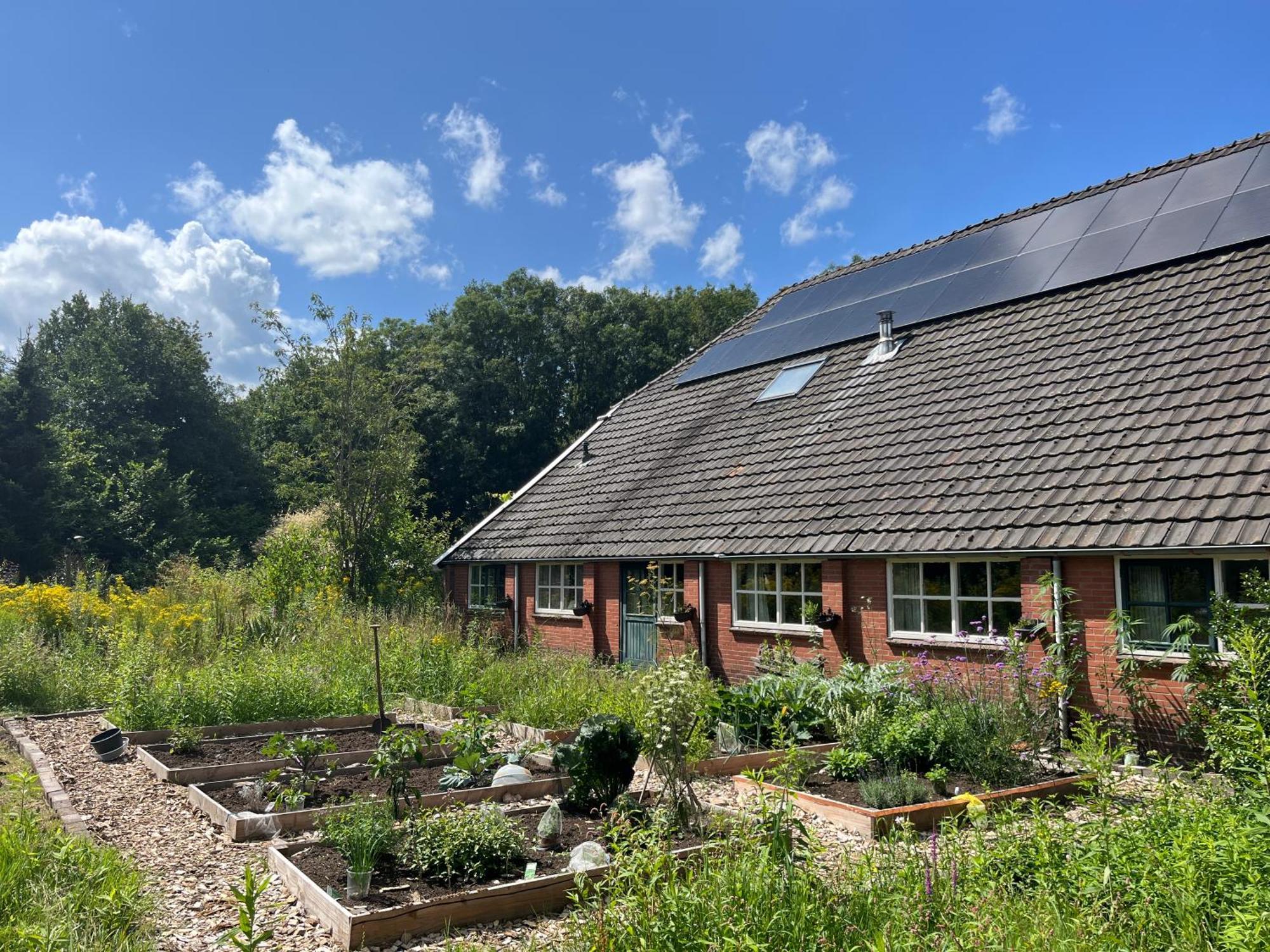 Hoeve Veganza B&B Vlagtwedde Kültér fotó