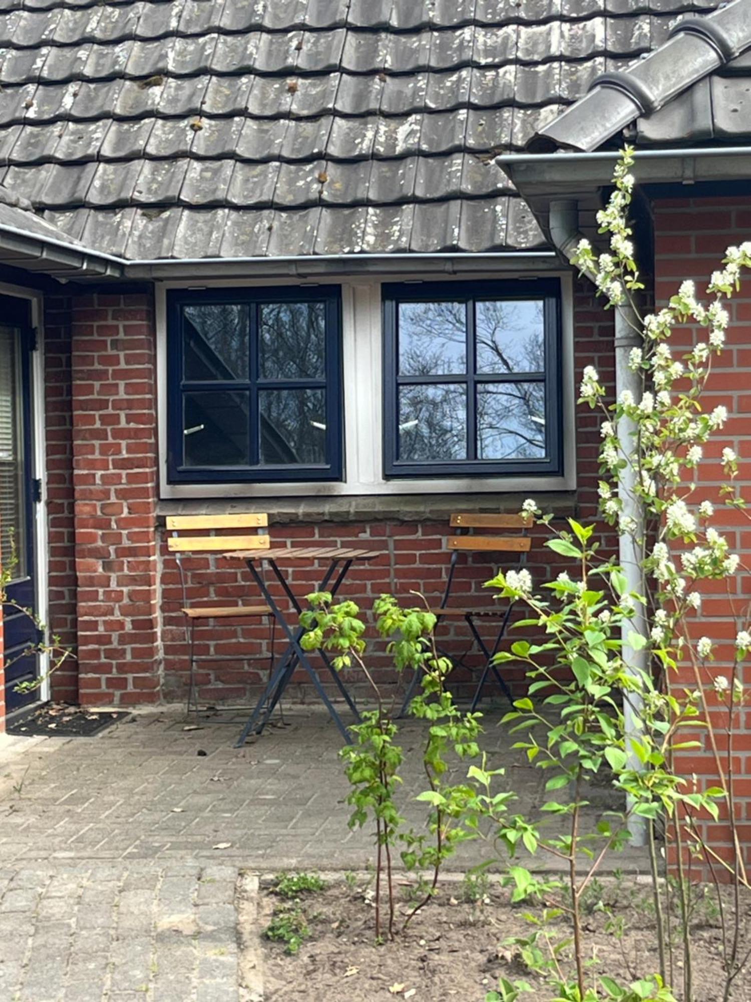 Hoeve Veganza B&B Vlagtwedde Kültér fotó