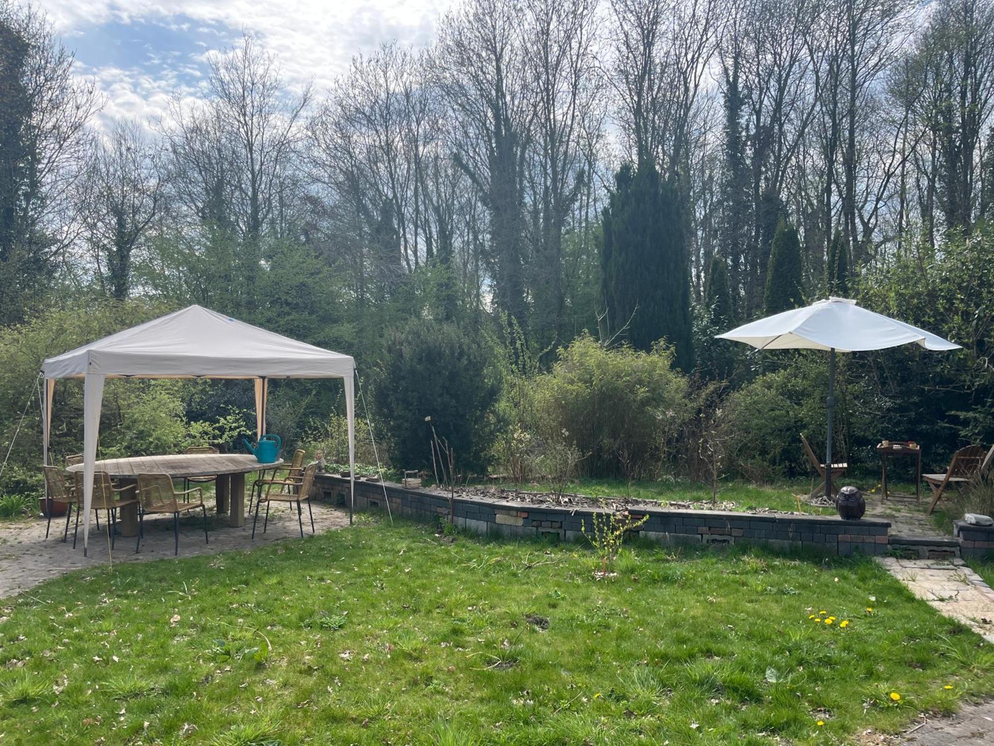 Hoeve Veganza B&B Vlagtwedde Kültér fotó
