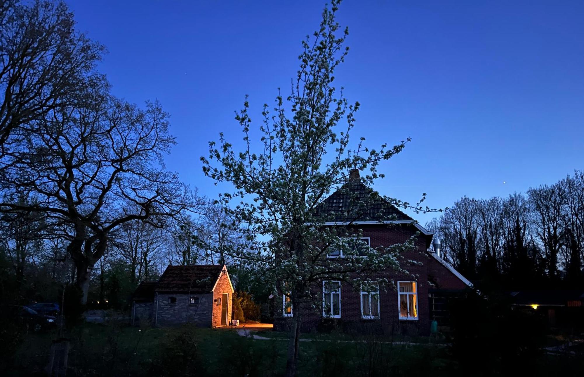 Hoeve Veganza B&B Vlagtwedde Kültér fotó