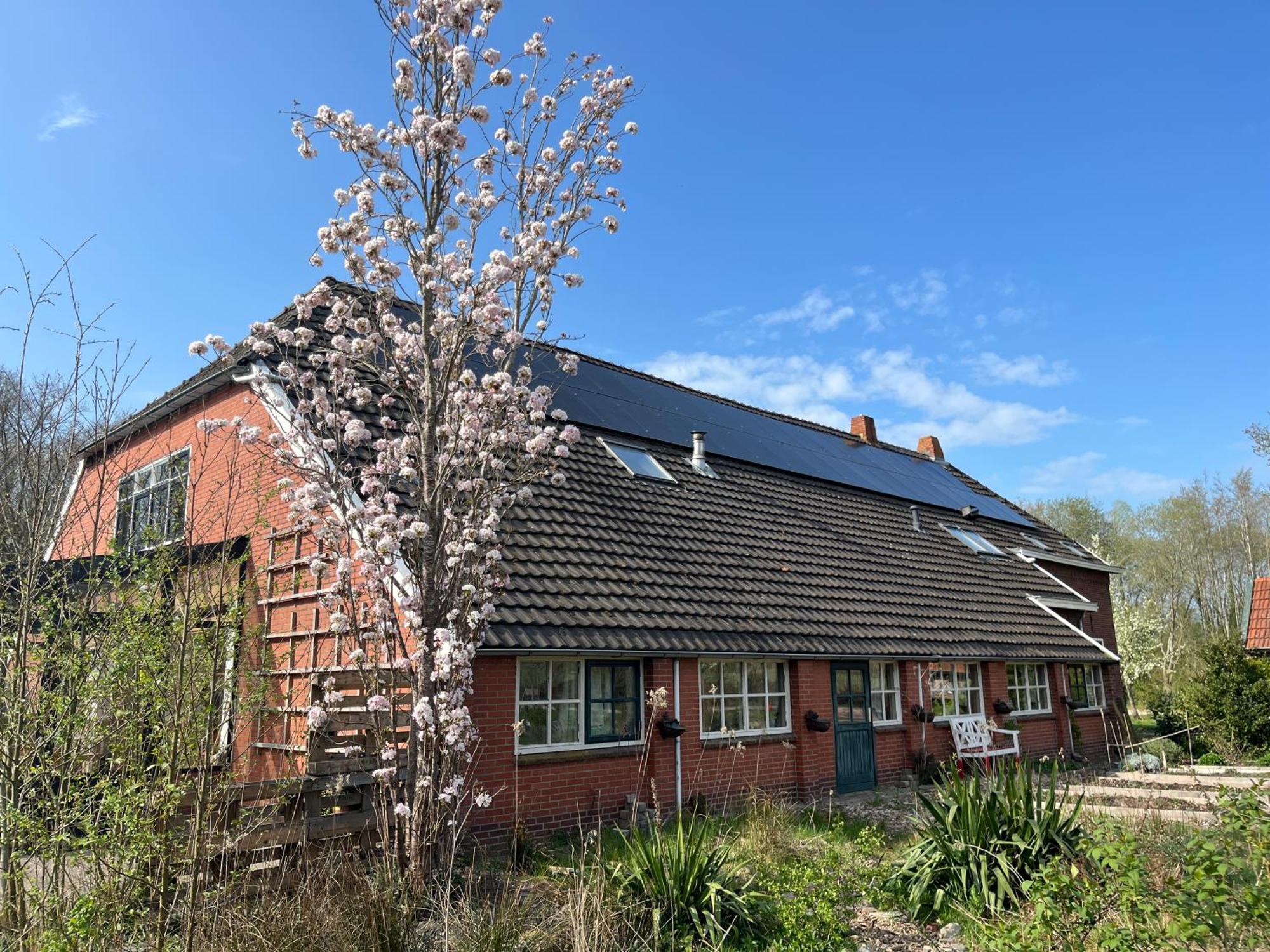 Hoeve Veganza B&B Vlagtwedde Kültér fotó