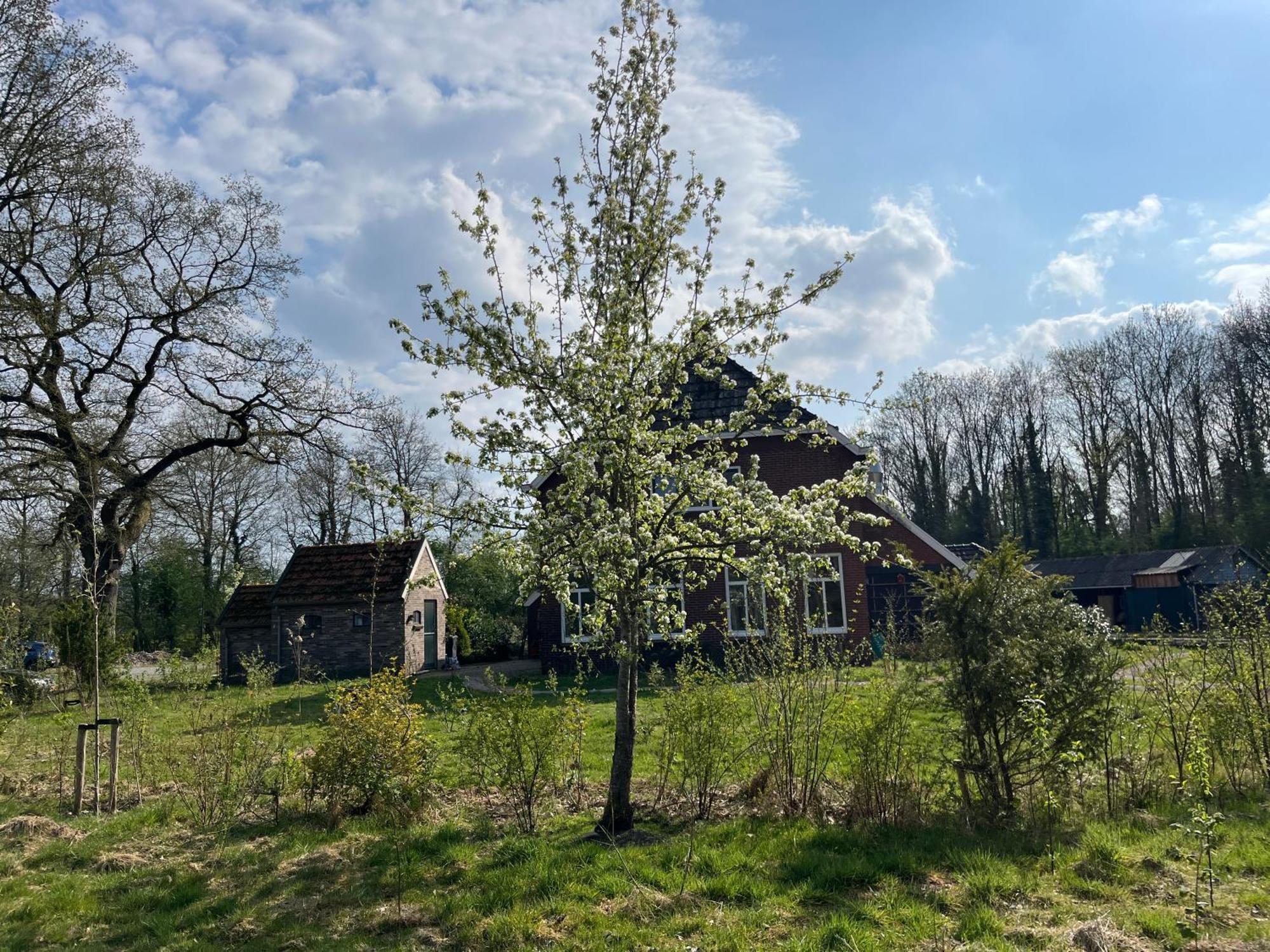 Hoeve Veganza B&B Vlagtwedde Kültér fotó
